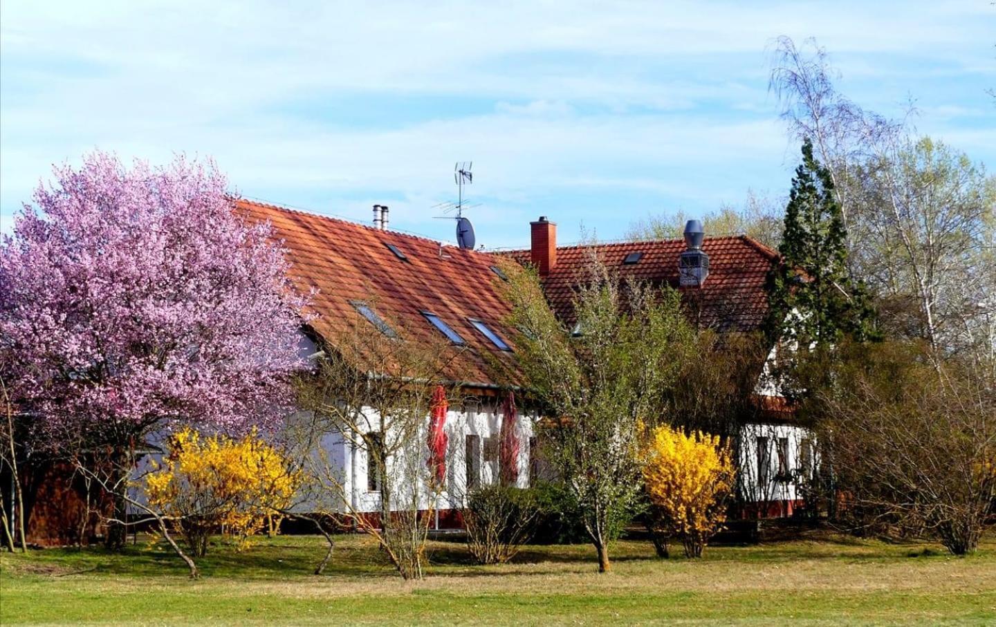 FulopszallasKigyosi Csarda & Panzio住宿加早餐旅馆 外观 照片